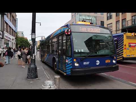 MTA NYCT #8537 on the Q27 Limited to Cambria Hts 120th Av at Main St & 39th Av (Pre-QBNR)