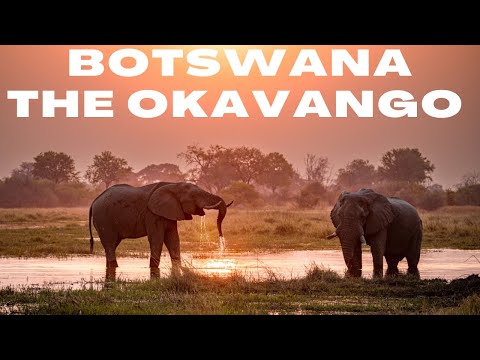 BOTSWANA | AN OVERLANDING DOCUMENTARY | THE OKAVANGO PART 2