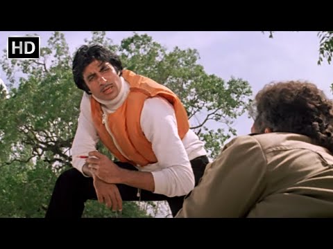 Climax - अमिताभ बच्चन का जबरदस्त डबल रोल क्लाइमेक्स - Mahaan - Amitabh Bachchan Action Scene