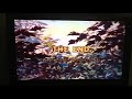 Closing To Robin Hood 1993 Reprint Spain VHS