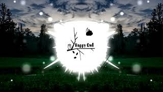 Owl City - Beautiful Times (Happy Owl Remix)