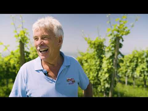 Winzerverein Meersburg Portrait 2