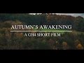 Autumn’s Awakening: A Scenic GH4 Short Film