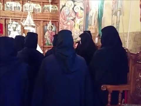 20181216 NICOLAE BALASOIU –  PILDA CELOR POFTITI LA CINA