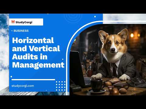 Horizontal and Vertical Audits in Management - Research Paper Example