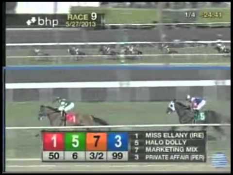 Gamely S (Grade I) 2013