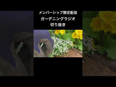 菜園コンテナを構築するにはどうすればよいですか?なぜコンテナでガーデニングをするのか？応援ビデオ  庭園