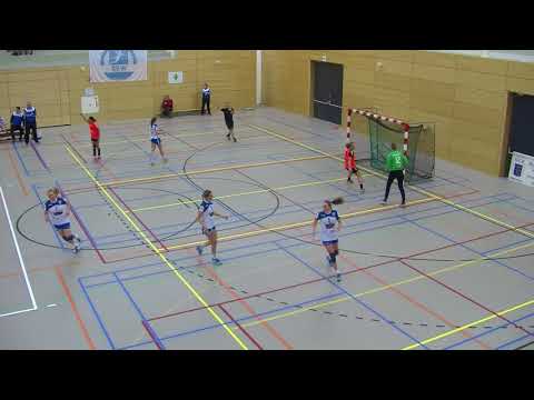 Samenvatting Westfriesland SEW  - Maedilon  VZV, 24 feb 2018