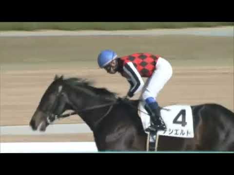 2021.12.19 2yo Newcomer (JPN) - Desierto