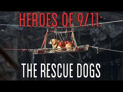Heroes of 9/11: The Rescue Dogs
