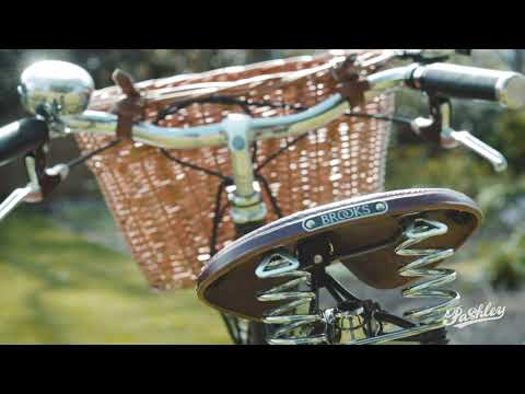 Pashley Princess Sovereign