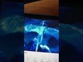 PolyGram Video PolyGram Visual Programming Really Useful Films 1998