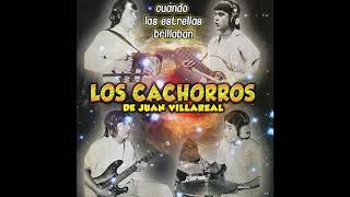 Cariño Mio-Los Cachorros De Juan Villarreal