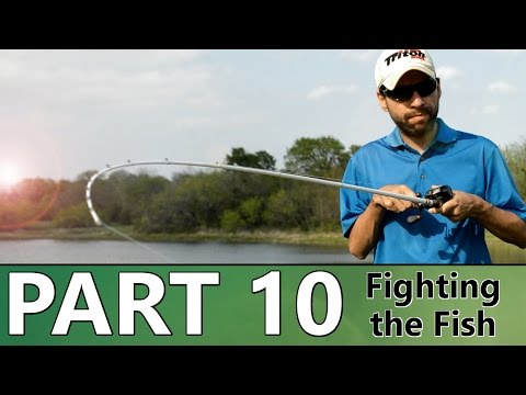Beginner's Guide to BASS FISHING - Part 10 - Hooksets and the Fight Video