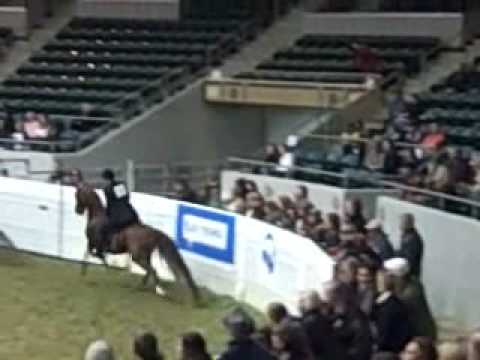 2008 US Nationals Half-Arab Park
