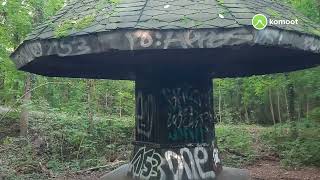 Auwald von Raschwitz nach Connewitz 19 September 2021