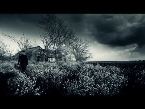 The Storm Inside Small Group Study by Sheila Walsh