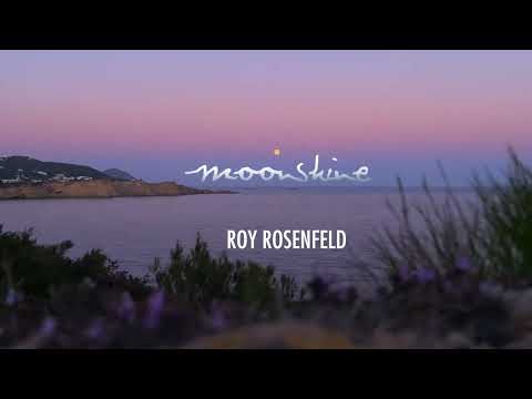 Roy Rosenfeld - Moonshine [All Day I Dream] PROMO