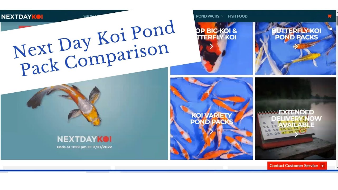 Next Day Koi Pond Pack Comparison