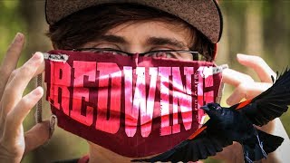 Red Wing Music Video