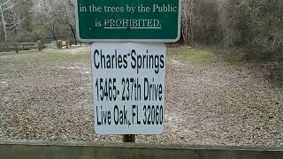 preview picture of video 'CHARLES SPRINGS Suwannee County Florida'