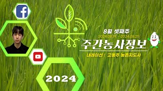 [ 주간농사정보 ] 8월 3째주 (2024. 08. 19. ~ 08. 25.)