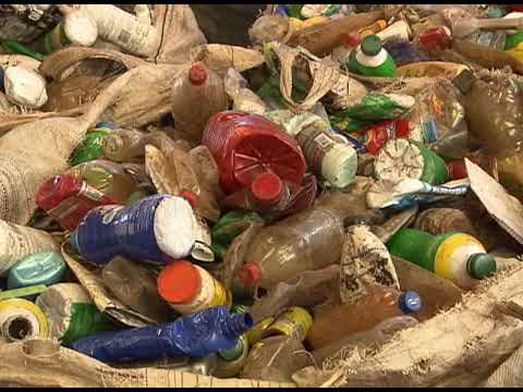 🌱 Meio Ambiente por Inteiro -  Desafios Ambientais