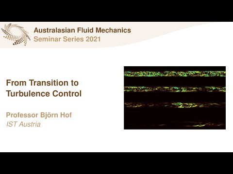 AFMS Webinar 2021 #11 - Professor Björn Hof (IST Austria)