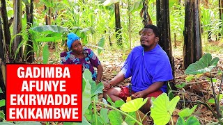 GADIMBA AFUNYE EKIRWADDE EKIKAMBWE