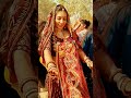 New Shekhawati Sikar Wedding Dance Program Video Rajasthani Dance Program Jaatni Shorts Trend