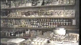 IMIGRAÇÃO JAPONESA/ブラジル移民の歴史