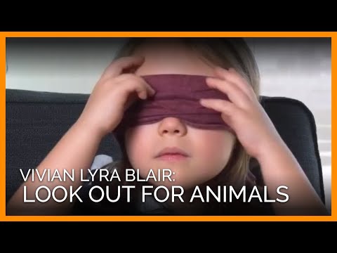 Thumbnail for 6-Year-Old 'Bird Box' Star Talks Cats and Eating Vegetarian in First-Ever Interview by Tao, NME, Talk Talk