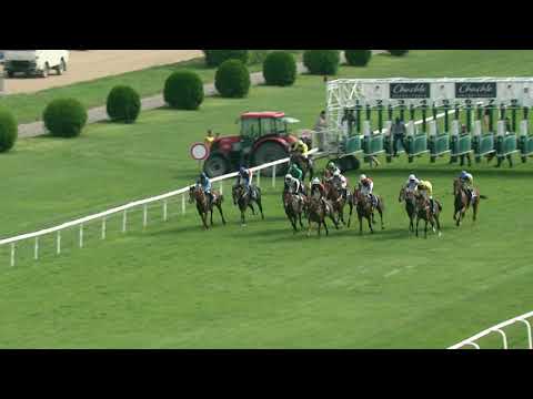 5. dostih - Cena EBF - dostihy Chuchle Arena Praha 15. 8. 2020