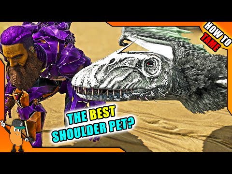 BEST SHOULDER PET IN THE GAME? | HOW TO TAME A Dimorphodon & All Abilities!