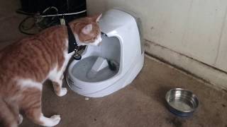 this is zak's reaction to his water bowl