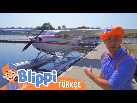 Blippi Deniz Uçağı Keşfediyor | Blippi Türkçe - Çocuklar için eğitici videolar | Türkçe Dublajlı