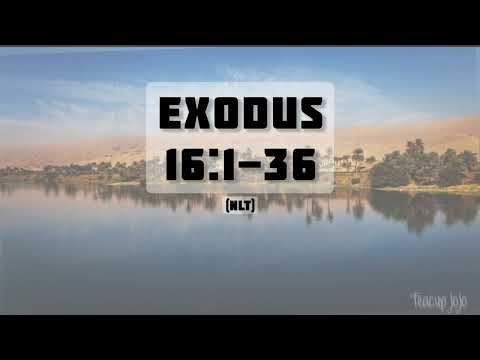 Exodus 16:1-36 — Manna and Quail From Heaven — NLT Audiovisual