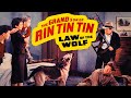 Law Of The Wolf 1939 Rin Tin Tin Crime Drama Western Movie Full Movie