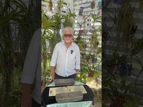 Barra de plata del ATOCHA ( Marcas y Fundicion) #atocha #plata #historia