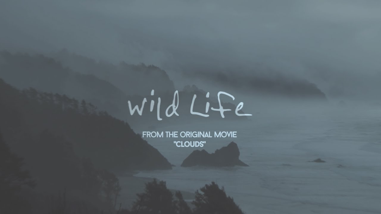 Wild Life Lyrics - OneRepublic