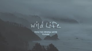 Musik-Video-Miniaturansicht zu Wild Life Songtext von OneRepublic