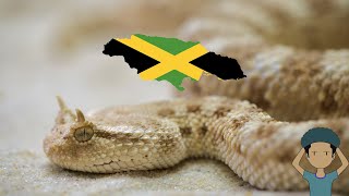 Download lagu 5 Most Deadly Animals In Jamaica And The Caribbean mp3
