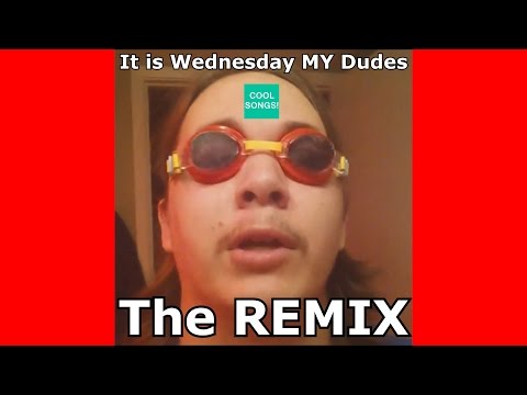 It is Wednesday My Dudes Official REMIX