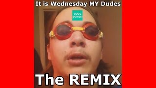 It is Wednesday My Dudes Official REMIX