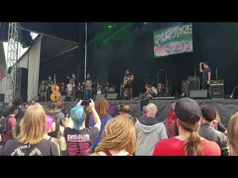 Days n Daze - with some guests. Self destructive anthem