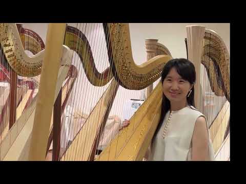 人気グランド試奏SALVI Aurora Daphne Arion Diana AOYAMA Aeolian