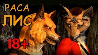 18+ Скайрим - лучшие моды (РАСА ЛИС)