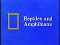 National Geographic Reptiles And Amphibians 1968 1989 VHS