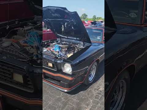 "King cobra" spotted in st.paris ohio !!!!!!! #viral #ohio