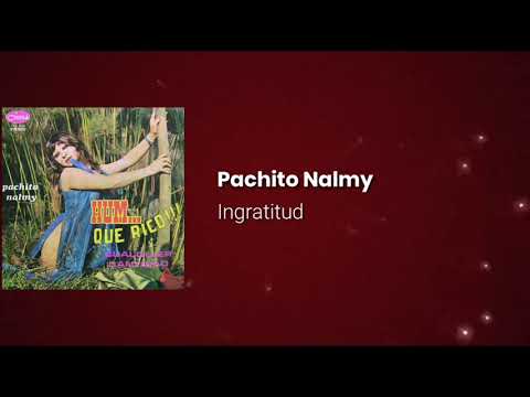 Ingratitud - Pachito Nalmy / LETRA / Jose Salsa & Sabor